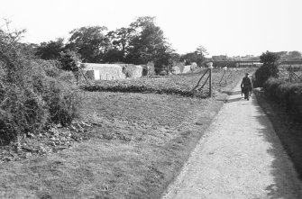 General view of walled garden.