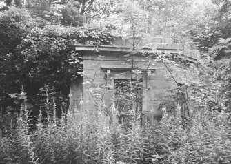 Detail of overgrown delapidated lodge.