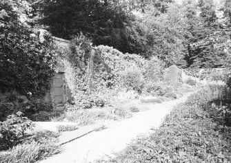 General view of the garden walls.