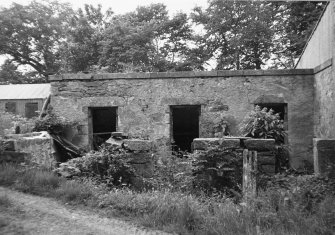 General view of kennels.