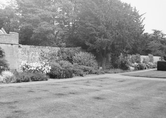 General view of garden wall.
