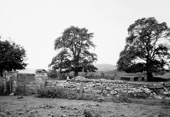 View of burial ground