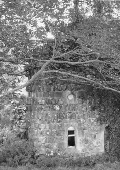 General view