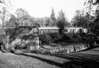 General view of garden.