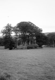 Campbell of Glendaruel Burial Place.
General view.