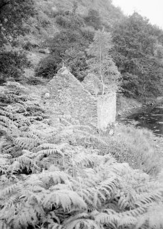 Inveraray Castle Estate, Dubh Loch Boathouse.
General view of ruined boathouse with tree growing inside.