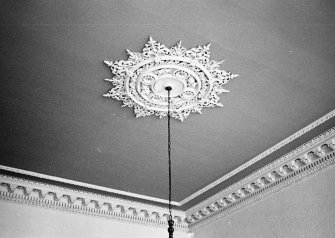 Glasgow, 8 Crown Gardens, interior.
General view of ceiling centrepiece in ground floor lounge.