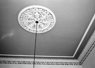 Glasgow, 8 Crown Gardens, interior.
General view of foliate ceiling centrepiece in ground floor bedroom.
