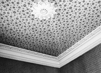 Glasgow, 6 Rowan Road, Craigie Hall, interior.
View of ceiling.