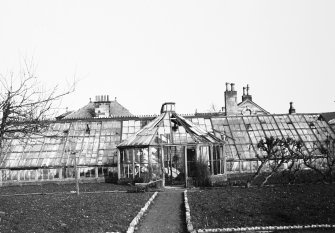 Glasgow, 6 Rowan Road, Craigie Hall.
View of greenhouse.