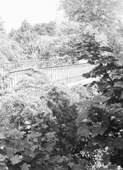 View from SW showing bridge and railings amongst heavy vegetation.