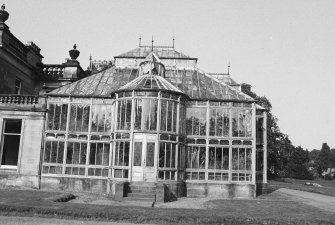 Detail of glass house from S.