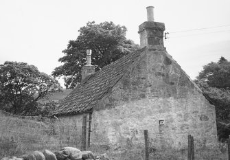 Burnfoot, Ivy Cottage.
View of side elevation.