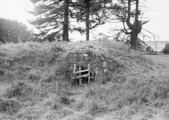 Bamff House, Ice House.
General view.