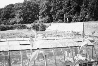Fingask Castle, Walled Garden.
General view of glasshouse.