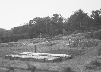Glendoick House, walled garden.
General view with coldframes.