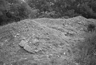 Ogilvie Castle
General view of mounds and rubble.