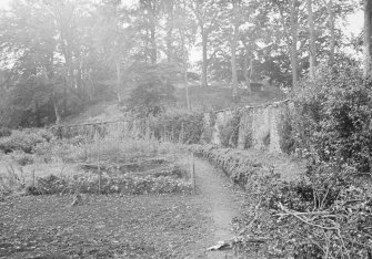 View of walled garden.