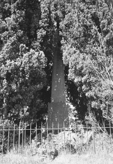 General view of the Moncrieffe Monument, a large obelisk.