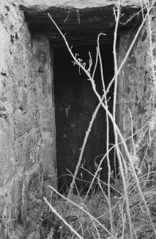 View of entrance to icehouse, Craigston Castle.