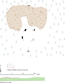 HES Survey and Recording Illustration: Plan of North Burreldales. 