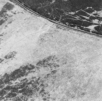 Oblique aerial view of Sheriff Muir centred on trackways, gun-emplacements, bunkers and trenches, taken from the WSW.
