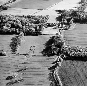 Oblique aerial view centred on the possible plantation bank with country house, stables and gardens adjacent, taken from the NNE.
