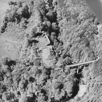 Aerial view of Cadzow Castle and the Duke's Bridge, taken from the SE.