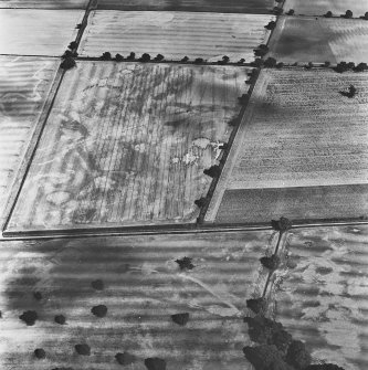 Mains of Glamis, oblique aerial view, taken from the WSW, showing the cropmarks of a round, and square, enclosures in the left-hand corner area, and further cropmarks across the left-hand half of the photograph.