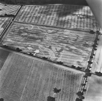 Mains of Glamis, oblique aerial view, taken from the SSE, showing the cropmark of a circular enclosure in the top left-hand corner area, a further possible large enclosure in the bottom right-hand corner, and other cropmarks across the photograph.