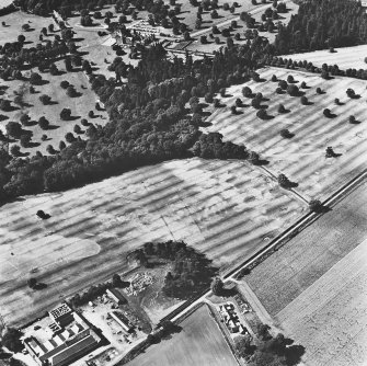 Mains of Glamis and Glamis Castle, oblique aerial view, taken from the ESE, showing a pair of linear cropmarks in the centre of the photograph, and further cropmarks in the centre right. Glamis Castle is visible in the centre.