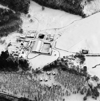 Oblique aerial view of Guisachan centred on a farmsteading, taken from the WNW.