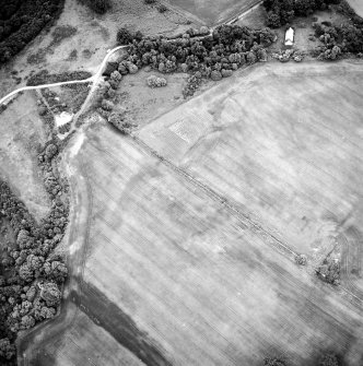 Oblique aerial view centred on the cropmarks of the possible enclosure, rig and linear cropmarks, taken from the N.