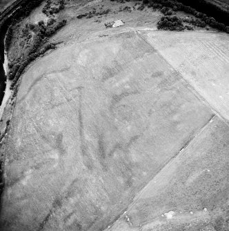 Oblique aerial view centred on the cropmarks, taken from the NE.