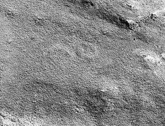 Oblique aerial view of Garbeg centred on the remains of two hut-circles in an area of small cairns and a field-system, taken from the NW.