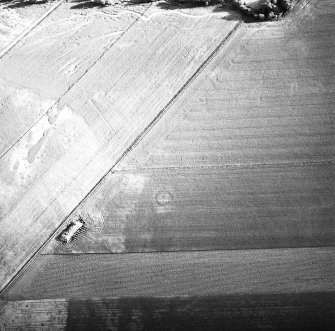 Ardnagrask, oblique aerial view, taken from the NW, centred on the cropmark of a ring-ditch.