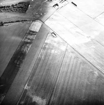 Ardnagrask, oblique aerial view, taken from the NW, centred on the cropmark of a ring-ditch.