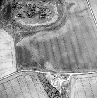 Oblique aerial view centred on the cropmarks of the possible enclosure, roundhouse, rig and pits with cottages adjacent, taken from the SSE.
