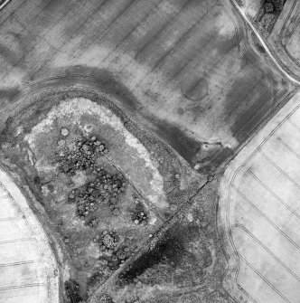 Oblique aerial view centred on the cropmarks of the possible enclosure, roundhouse, rig and pits, taken from the W.