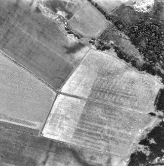 Oblique aerial view.