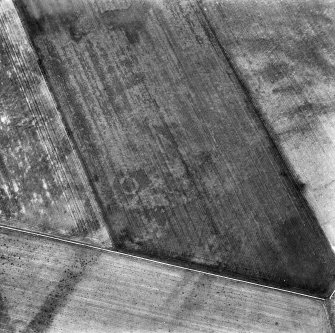 Oblique aerial view.