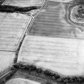 Oblique aerial view centred on linear cropmarks, pits and rig with possible trackway and cottages adjacent, taken from the NE.