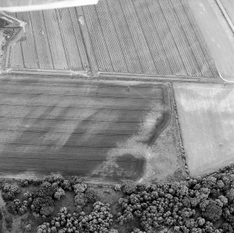 Oblique aerial view centred on the cropmarks of the ring-ditches, taken from the NE.