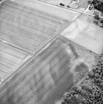 Oblique aerial view centred on the cropmarks of the ring-ditches, taken from the ESE.