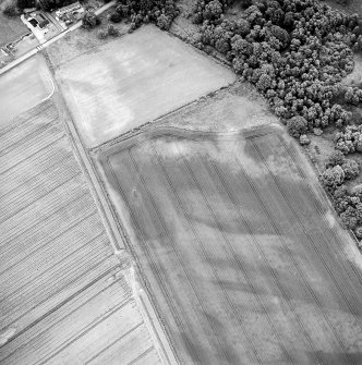 Oblique aerial view centred on the cropmarks of the ring-ditches, taken from the SSE.