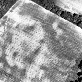Aldourie Farm, oblique aerial view, taken from the SSW, centred on the cropmarks of an enclosure and two pit-circles.