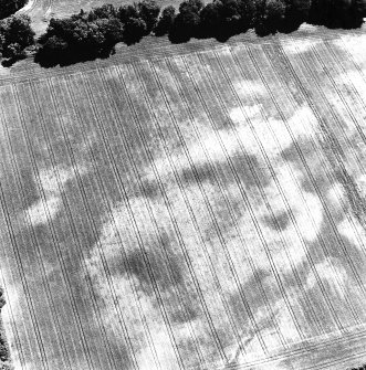 Aldourie Farm, oblique aerial view, taken from the NNW, centred on the cropmarks of an enclosure and two pit-circles.