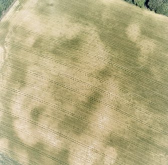 Aldourie Farm, oblique aerial view, taken from the SW, centred on the cropmarks of an enclosure and two pit-circles.