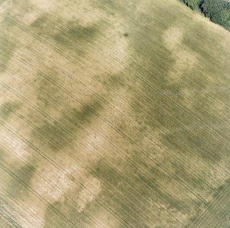 Aldourie Farm, oblique aerial view, taken from the SSW, centred on the cropmarks of an enclosure and two pit-circles.