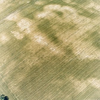 Aldourie Farm, oblique aerial view, taken from the ESE, centred on the cropmarks of an enclosure and two pit-circles.